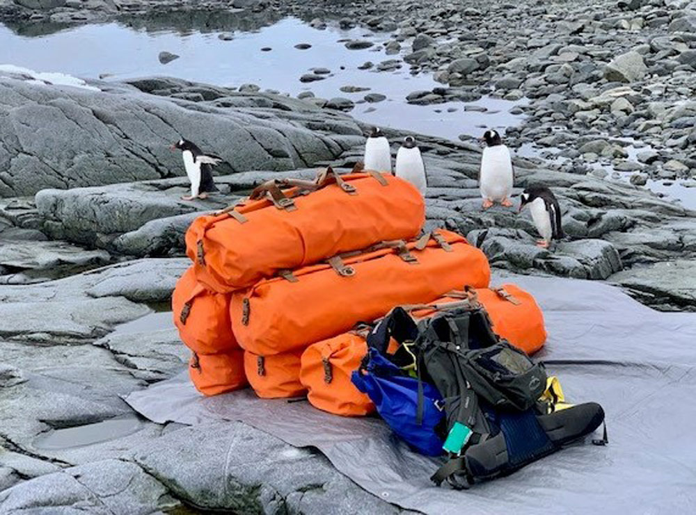 Penguins surrounding expedition gear sitting a rock.
