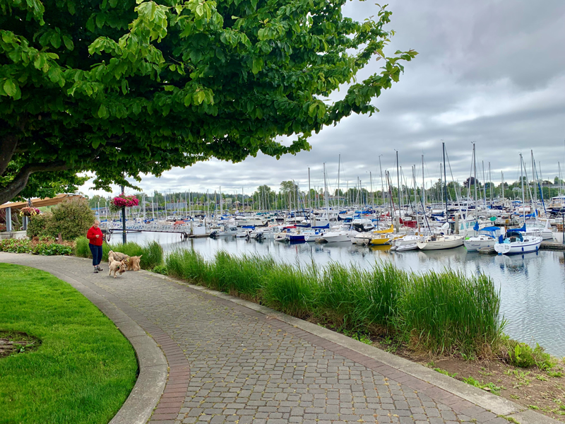 a walkway of paves in front of boats in a harbor