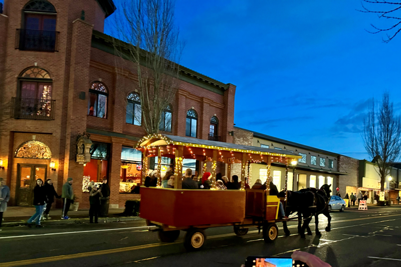 horse pulling carriage down street in a small town