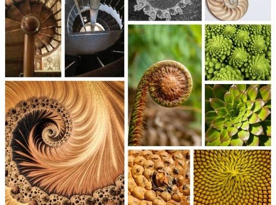 Fibonacci collage